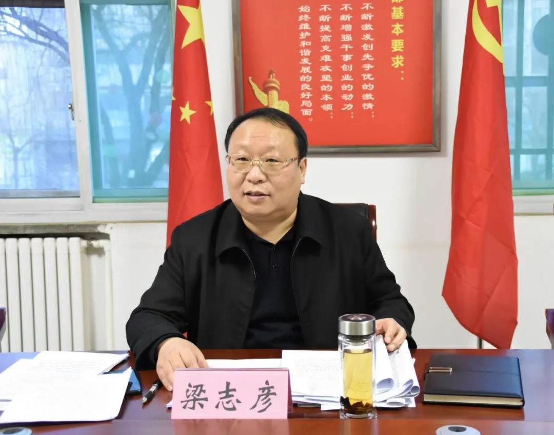 梁志彦参加指导龙州镇领导班子党史学习教育专题民主生活会：星空体育app官网(图2)