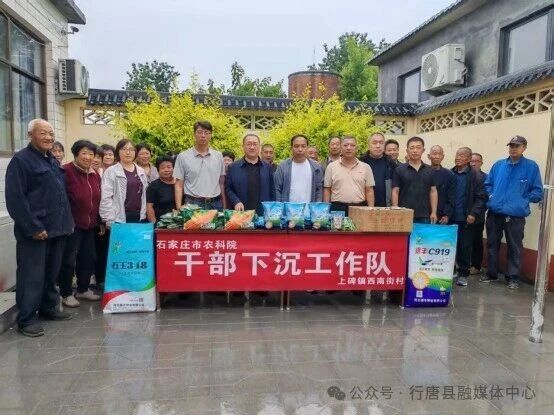 科技赋能乡村振兴 农技服务送到家门口——石家庄市农林科学研究...